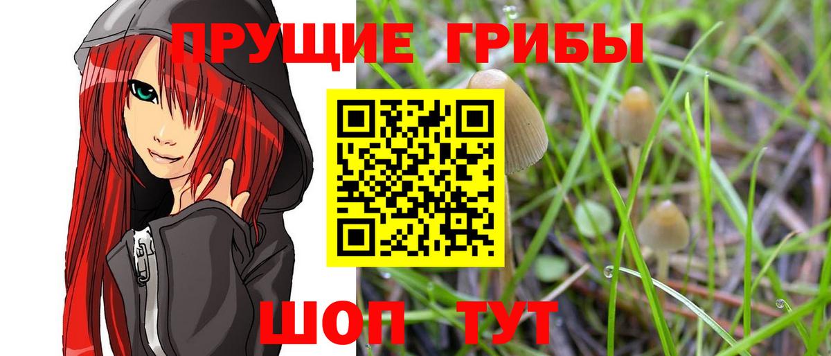 Галлюциногенные грибы Cubensis  Вход с VPN  Ханты-Мансийск 